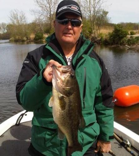 Illinois Bass Fishing Guide Service